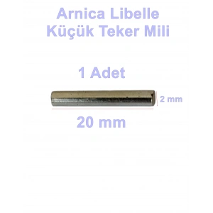 ARNİCA Libella Fırçalı Turbo Başlık Küçük Tekerlek Mili (Eski Model EP TF Orjinal Yedek Parça)