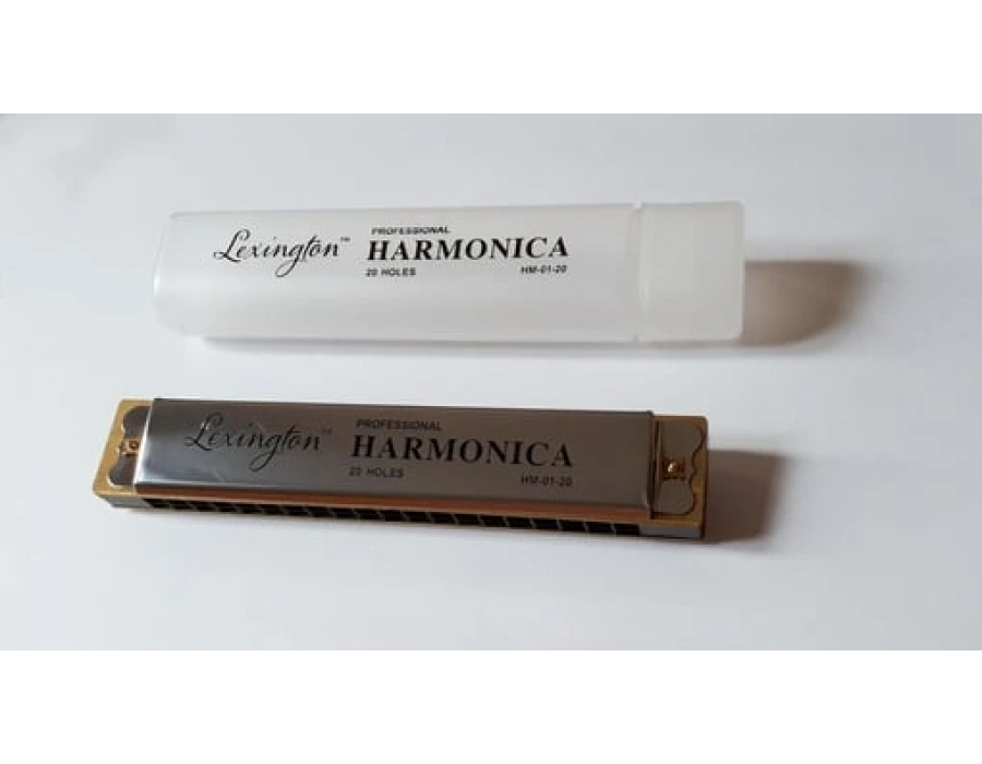MIZIKA 20 DELİK PROFESSIONAL HARMONICA
