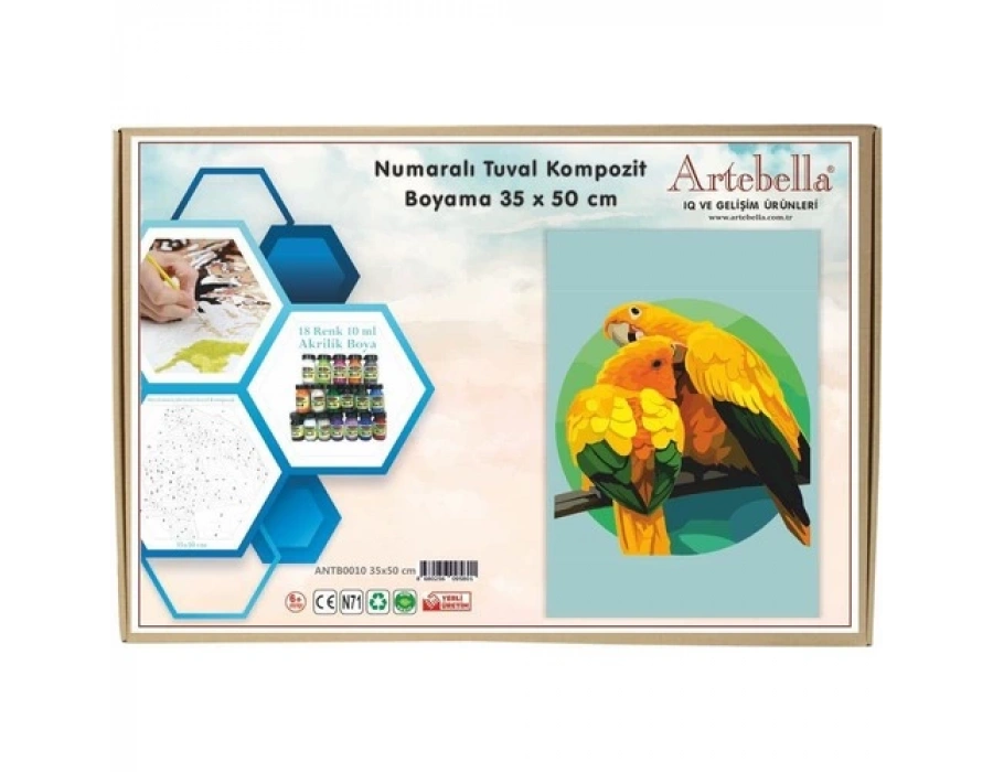 Artebella 35x50 Numaralı Kompozit Tuval Boyama papağan ANT00010
