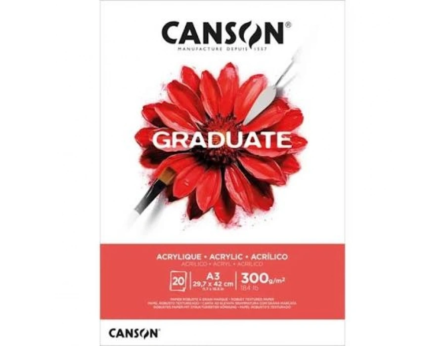 Canson Graduate Akrilik - Yağlıboya Defteri 300gr A4 20 Yaprak