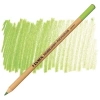 Lyra Rembrandt Polycolor Profesyonel Kuru Boya Kalemi Apple Green 70