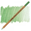 LYRA Rembrandt Polycolor Pencil True Green 62