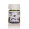 Talens Guaj Boya 16ml 620 Olive Green