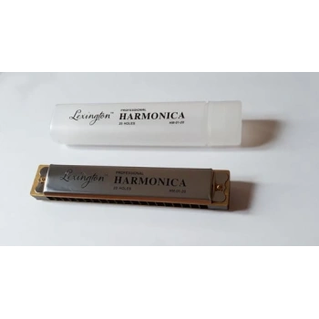 MIZIKA 20 DELİK PROFESSIONAL HARMONICA