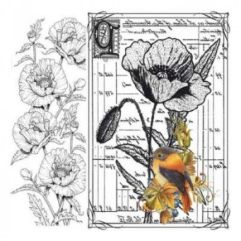 Artebella 5833v Home Design Kolay Transfer Açık Zemin 25x25 cm