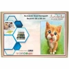 Artebella 35x50 Numaralı Kompozit Tuval Boyama kedi ANTB0012