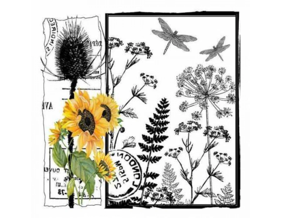 Artebella 5830v Home Design Kolay Transfer Açık Zemin 25x25 cm