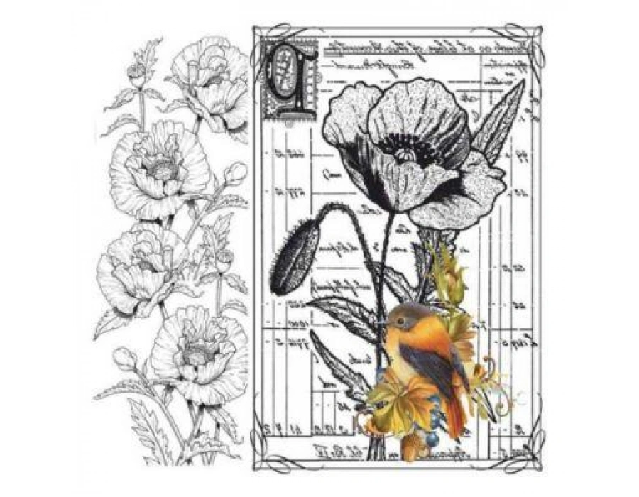 Artebella 5833v Home Design Kolay Transfer Açık Zemin 25x25 cm