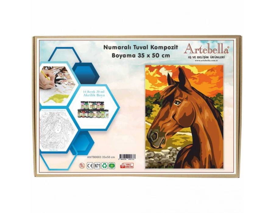 Artebella 35x50 Numaralı Kompozit Tuval Boyama At ANTB0003