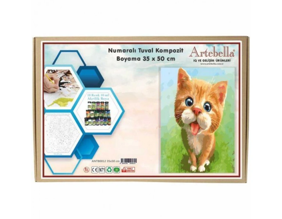 Artebella 35x50 Numaralı Kompozit Tuval Boyama kedi ANTB0012