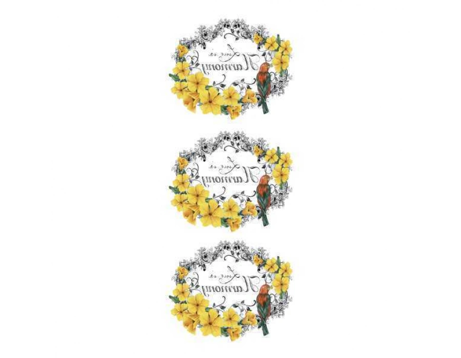 Artebella Home Desıgn Kolay Transfer 5622v Açık Zemin 10x25cm