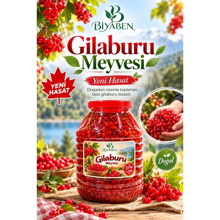 GİLABURU MEYVESİ 2.5 KG 5 LT