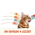 Wanpy 4 Lezzet Karışık Krema Kedi Ödülü 100 Adet x 14 gr