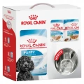 Royal Canin Premia Bundle (Mini Puppy 2 kg + 6 Adet Puppy Yaş Mama + 8 Oz. Mama Tası)
