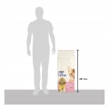 Cat Chow Kitten Tavuklu Yavru Kedi Maması 15 kg