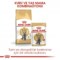 Royal Canin British Shorthair Adult Yetişkin Kedi Kuru Maması 2 kg