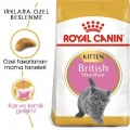 Royal Canin British Shorthair Kitten Yavru Kedi Kuru Maması 2 kg