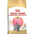 Royal Canin British Shorthair Kitten Yavru Kedi Kuru Maması 2 kg