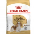 Royal Canin Cavalier King Charles Adult Yetişkin Köpek Kuru Maması 1,5 kg