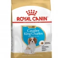 Royal Canin Cavalier King Charles Puppy Yavru Köpek Kuru Maması 1,5 kg