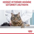 Royal Canin Dental Care Yetişkin Kedi Kuru Maması 1,5 kg
