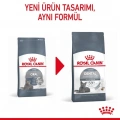 Royal Canin Dental Care Yetişkin Kedi Kuru Maması 1,5 kg