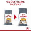 Royal Canin Hair&Skin Care Kedi Kuru Maması 10 kg