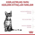 Royal Canin Kitten Sterilised Yavru Kedi Kuru Maması 2 kg