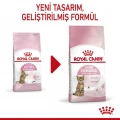 Royal Canin Kitten Sterilised Yavru Kedi Kuru Maması 400 gr