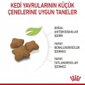 Royal Canin Kitten Sterilised Yavru Kedi Kuru Maması 400 gr