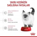 Royal Canin Kitten Yavru Kedi Kuru Maması 4 kg