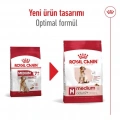 Royal Canin Medium Adult Yetişkin Köpek Kuru Maması 15 kg