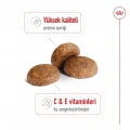 Royal Canin Medium Adult Yetişkin Köpek Kuru Maması 15 kg