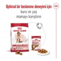 Royal Canin Medium Adult Yetişkin Köpek Kuru Maması 15 kg