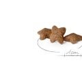 Royal Canin Mini Adult Yetişkin Köpek Kuru Maması 2 kg
