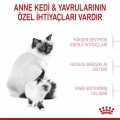 Royal Canin Mother And Babycat Anne ve Yavru Kedi Kuru Maması 4 kg