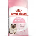 Royal Canin Mother And Babycat Anne ve Yavru Kedi Kuru Maması 400 gr