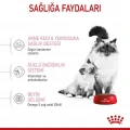 Royal Canin Mother And Babycat Anne ve Yavru Kedi Kuru Maması 400 gr