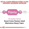 Royal Canin Persian Kitten Yavru Kedi Kuru Maması 2 kg