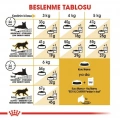 Royal Canin Persian Yetişkin Kedi Kuru Maması 2 kg