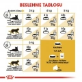 Royal Canin Siamese Adult Yetişkin Kedi Kuru Maması 2 kg