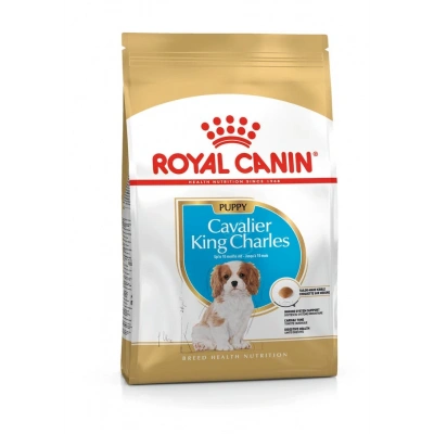 Royal Canin Cavalier King Charles Puppy Yavru Köpek Kuru Maması 1,5 kg