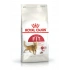 Royal Canin Fit 32 Yetişkin Kedi Kuru Maması 4 kg