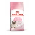 Royal Canin Mother And Babycat Anne ve Yavru Kedi Kuru Maması 4 kg
