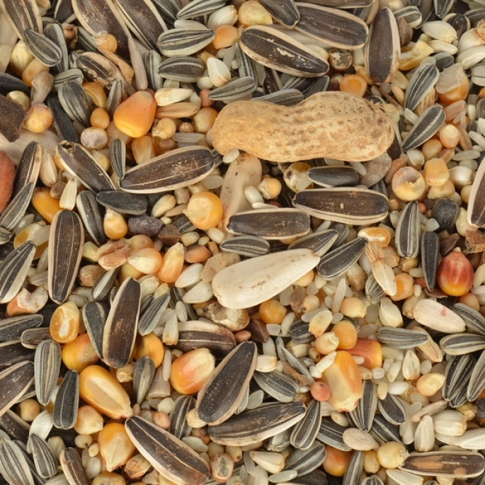 Gold Wings Classic Papağan Yemi 500 gr