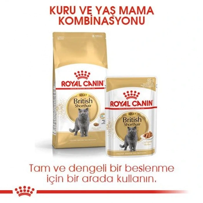Royal Canin British Shorthair Adult Yetişkin Kedi Kuru Maması 2 kg