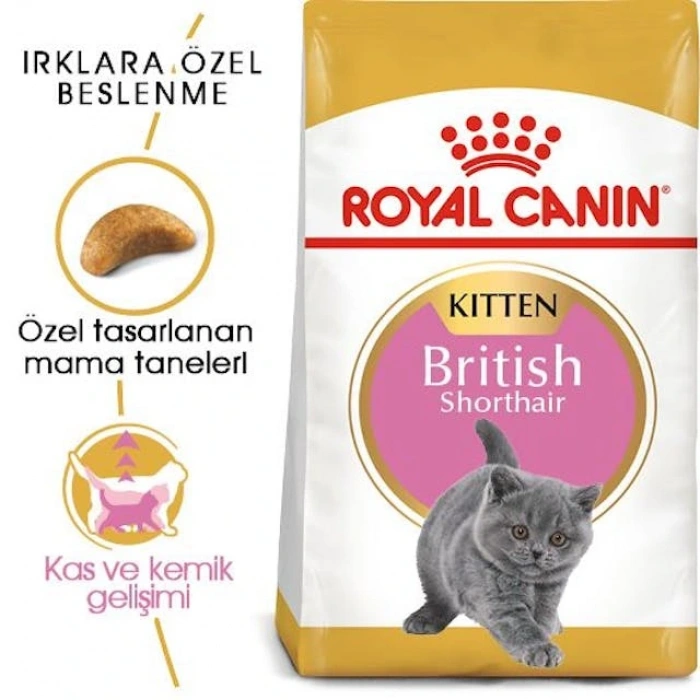 Royal Canin British Shorthair Kitten Yavru Kedi Kuru Maması 2 kg