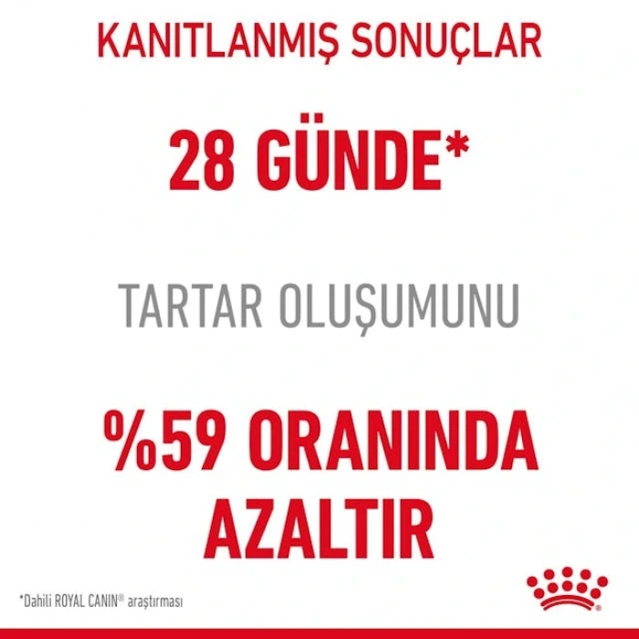 Royal Canin Dental Care Yetişkin Kedi Kuru Maması 1,5 kg