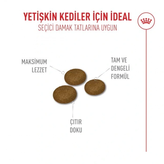 Royal Canin Fussy Exigent Yetişkin Kedi Kuru Maması 10 kg