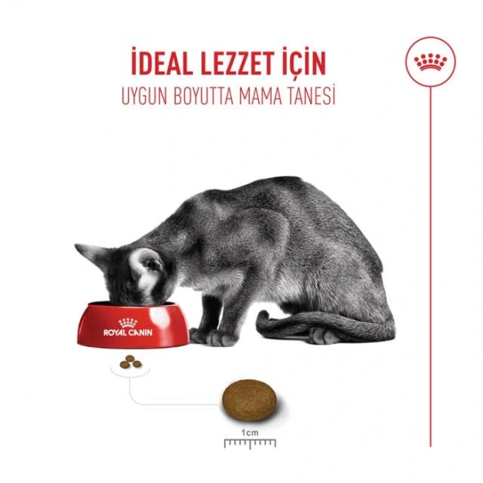 Royal Canin Fussy Exigent Yetişkin Kedi Kuru Maması 10 kg